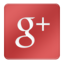 Google + Icon